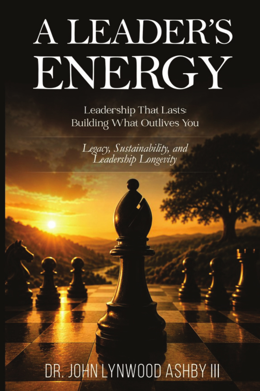 A Leader's Energy: Leadership That Lasts cover