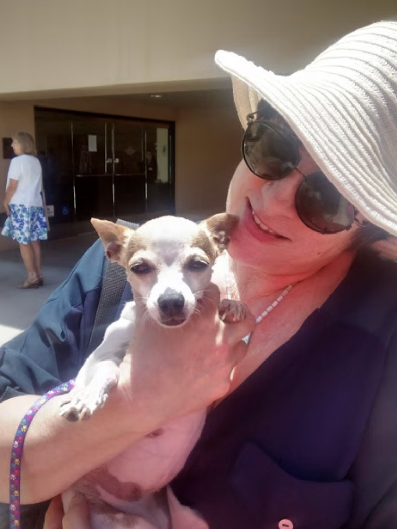 Buttons & Whimsy - Books and Other Useful Things