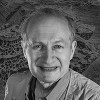 Joel Simpson