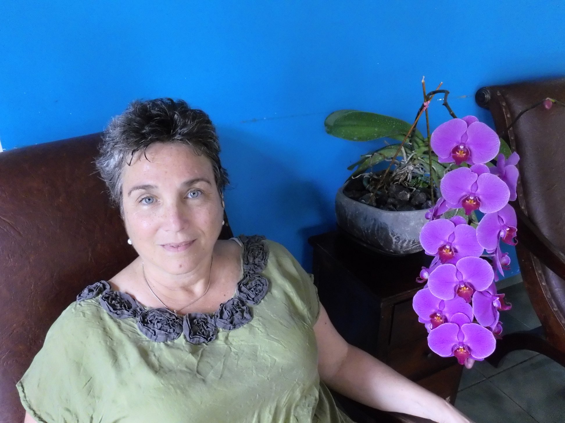 Naturopathvet