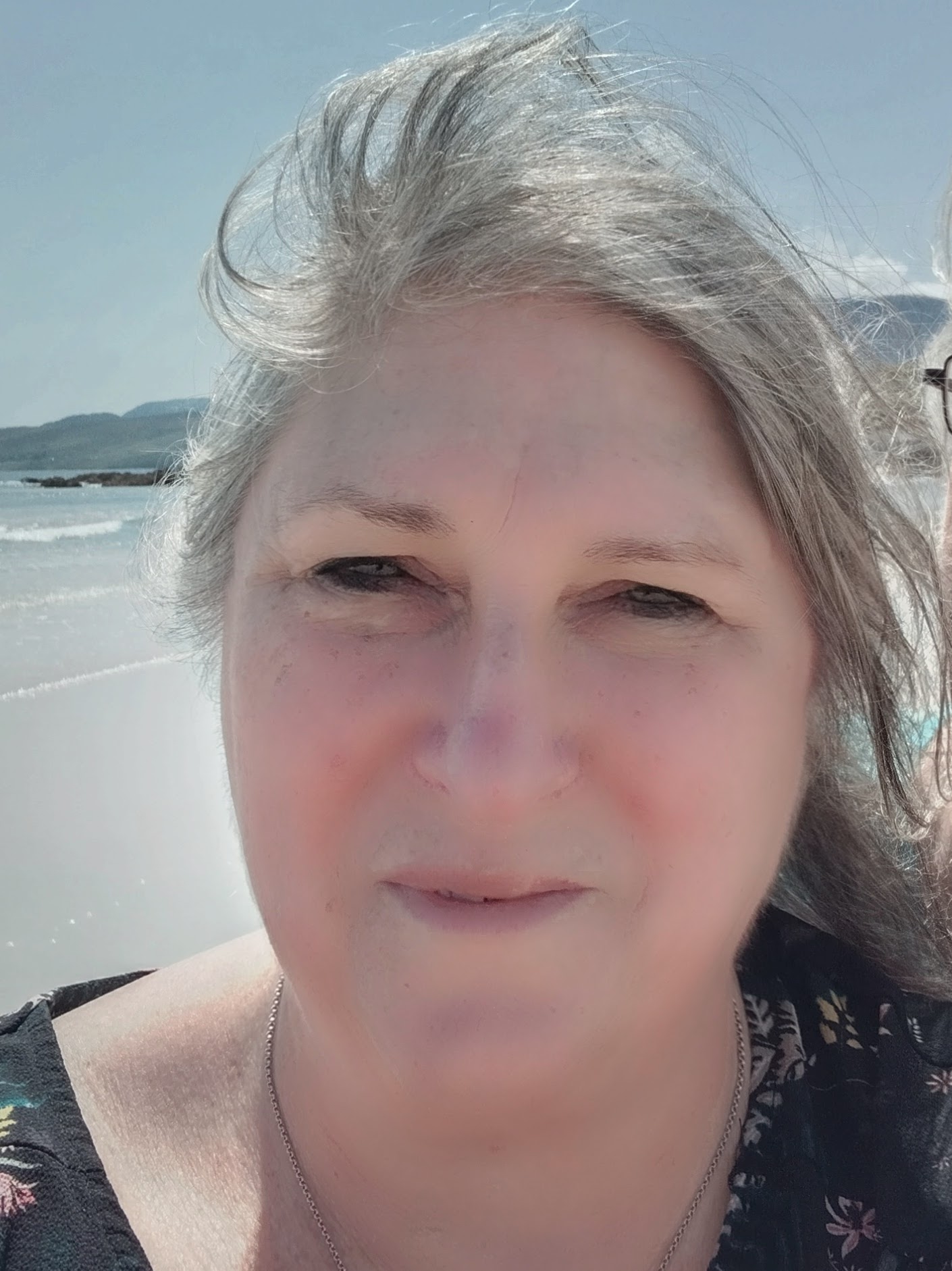 Phoebe Wilby, Author