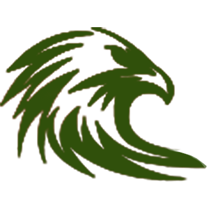 Spirit Eagle Publishing